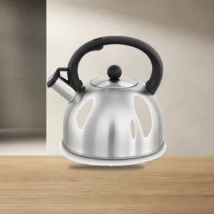 Stainless Steel Kettle