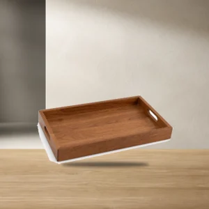 Stainless Steel Serving Tray
