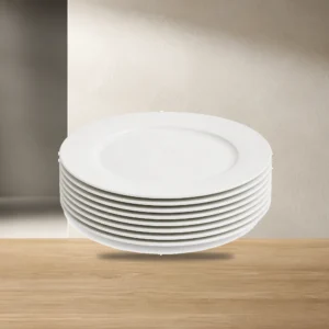 Blue Dinner Plate Set 2 Pack