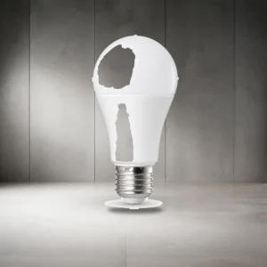 Warm White LED Bulb
