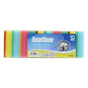 Easy Clean Clr Spounge Pad