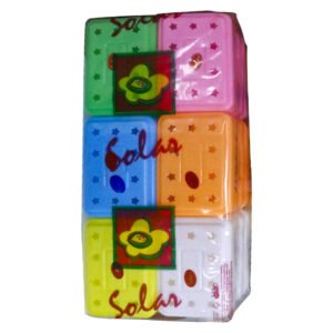Plastic Material Soap Case
